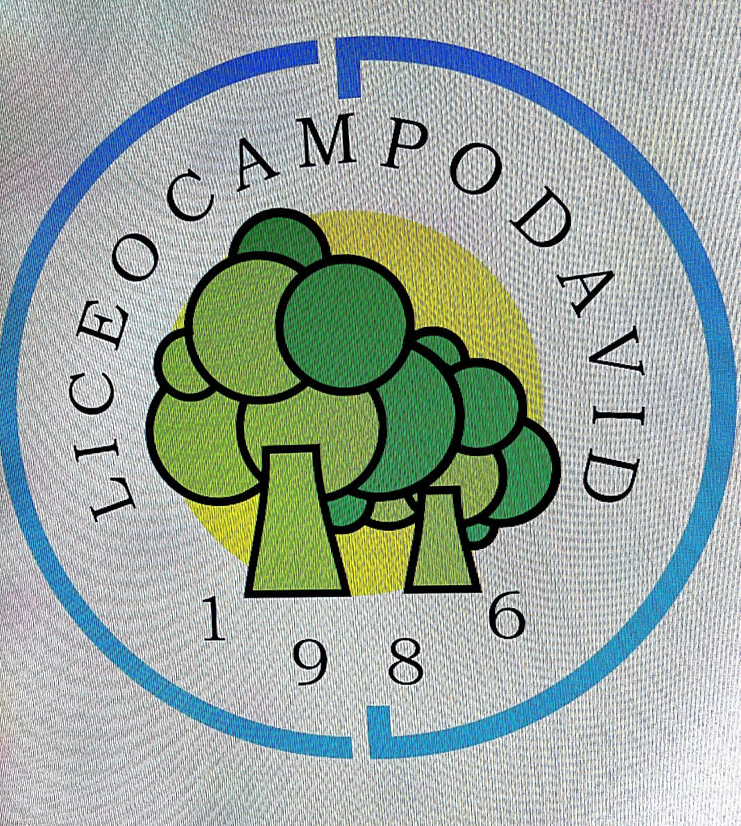 Logotipo de Liceo Campo David