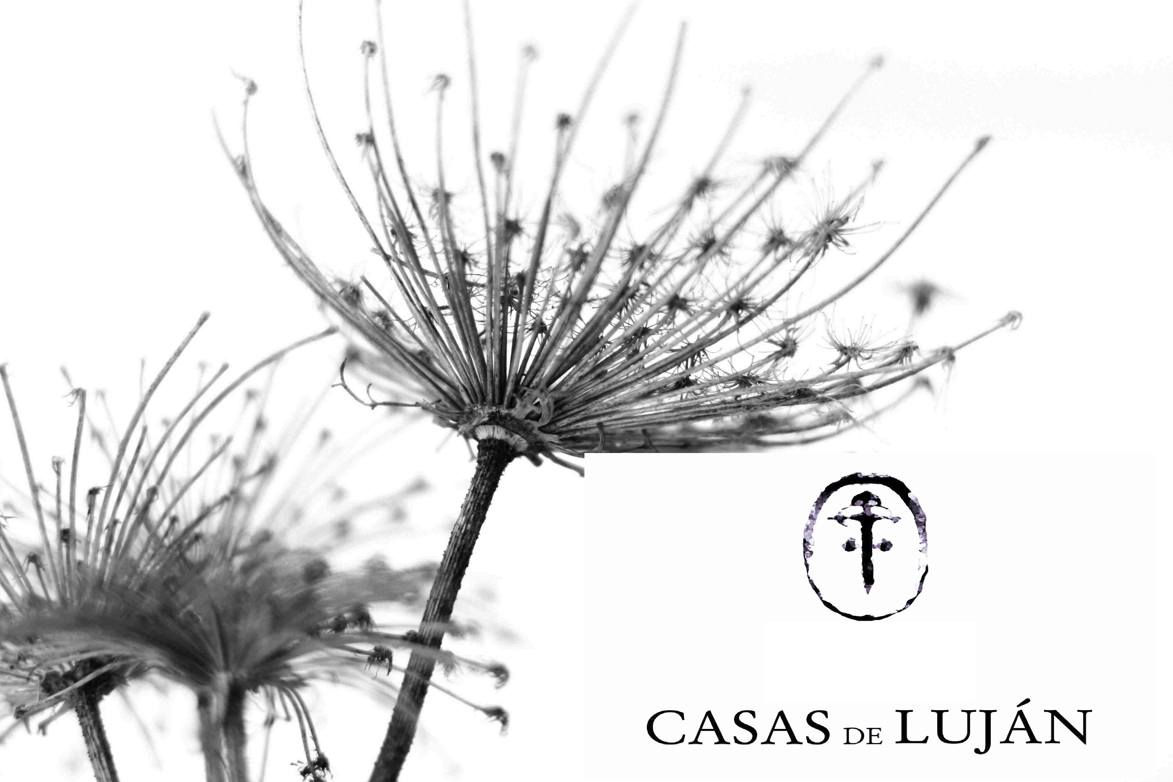Logotipo de Hospedería Casas De Luján