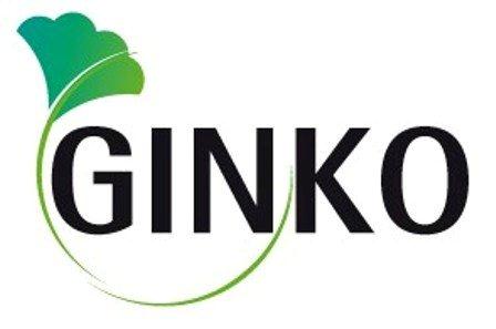 Logotipo de Ginko