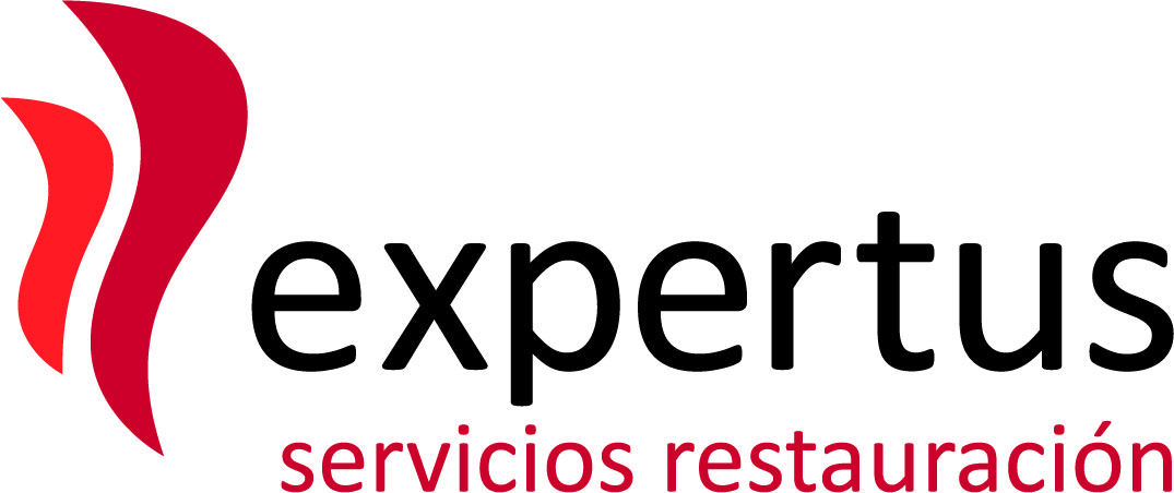 Logotipo de Expertus