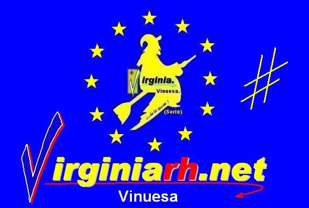 Logotipo de Hotel Virginia R.h 