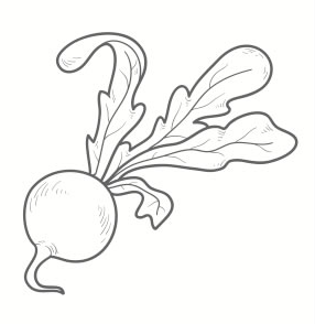 Logotipo de Grupo Radish 