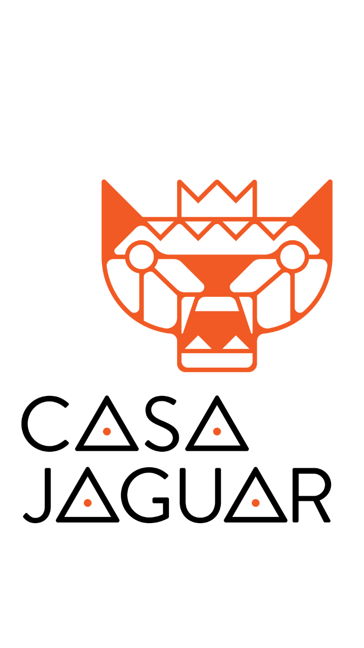 Logotipo de Fuerza Mapuche