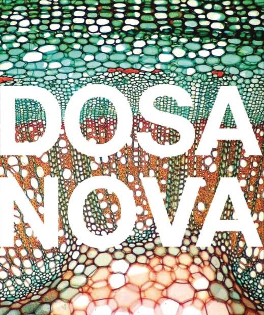Logotipo de Dosa Nova