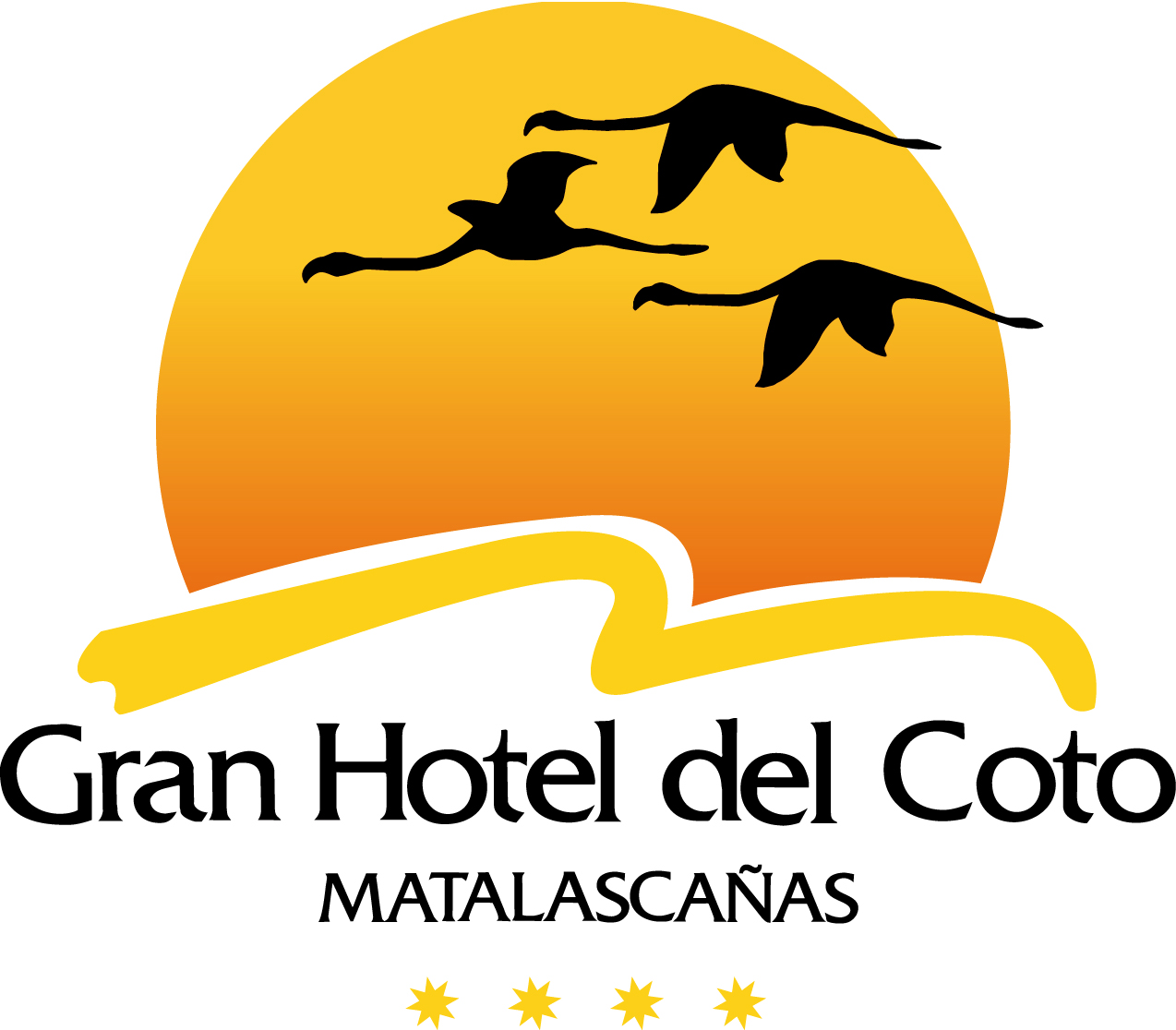 Logotipo de A17161985