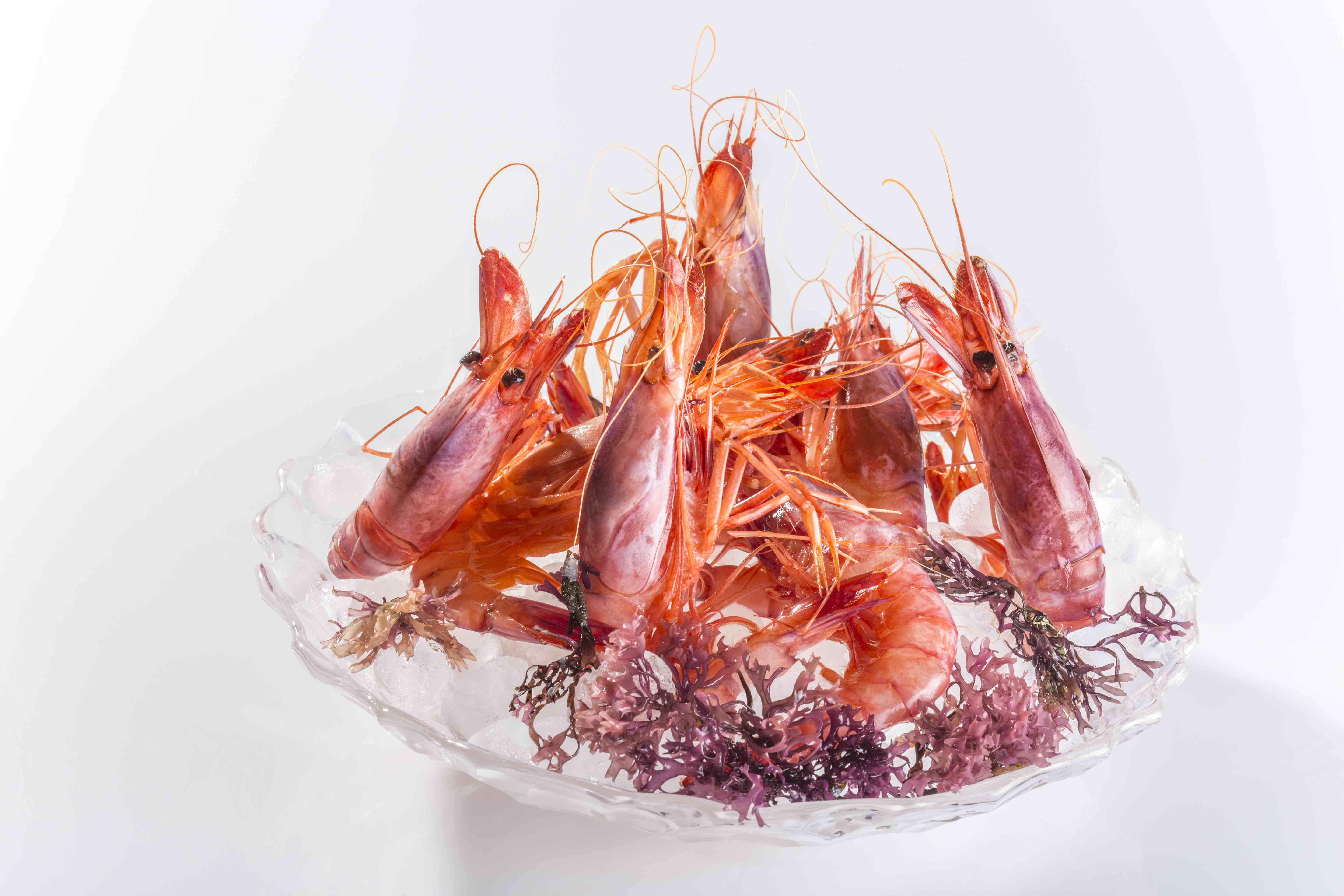 Logotipo de Salitre Y Arroz