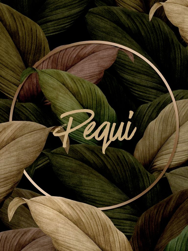 Logotipo de Pequí Brasa-fusión