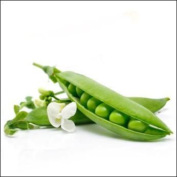 Logotipo de Petit Pois