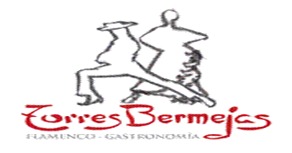 Logotipo de Torresbermejas