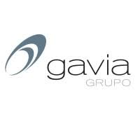 Logotipo de Grupo Gavia